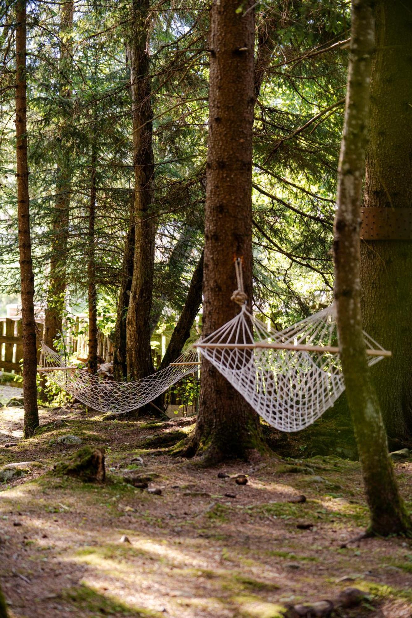 La Tana Dell'Orso Hotel & Spa Ponte Di Legno Eksteriør bilde