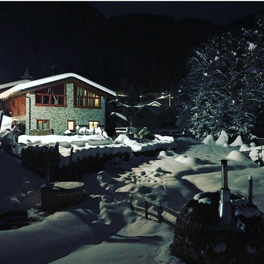 La Tana Dell'Orso Hotel & Spa Ponte Di Legno Eksteriør bilde