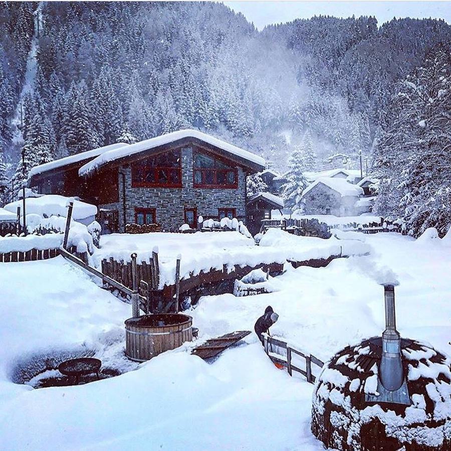 La Tana Dell'Orso Hotel & Spa Ponte Di Legno Eksteriør bilde