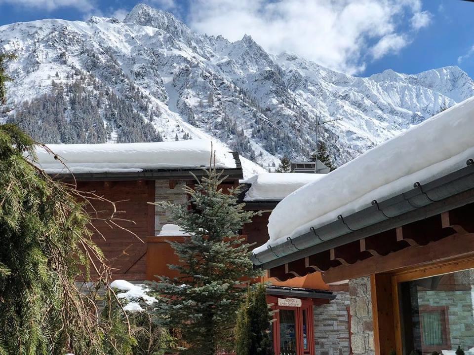 La Tana Dell'Orso Hotel & Spa Ponte Di Legno Eksteriør bilde