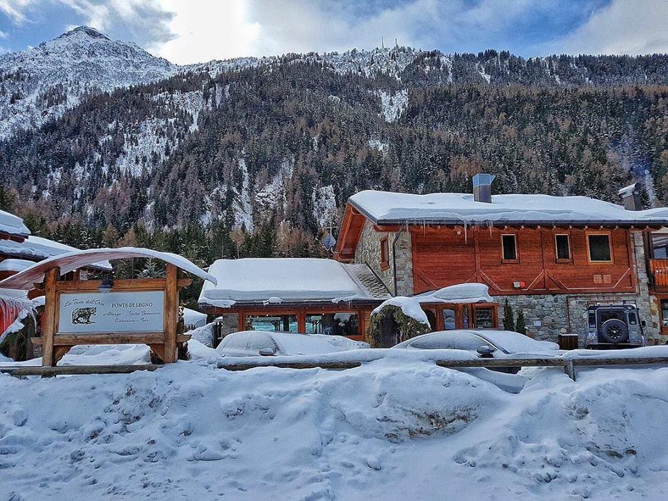 La Tana Dell'Orso Hotel & Spa Ponte Di Legno Eksteriør bilde